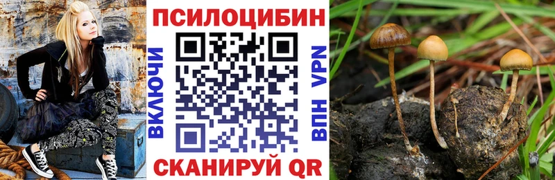 Псилоцибиновые грибы Psilocybine cubensis  Белинский 